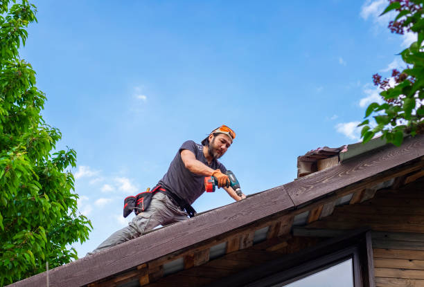 Siding Services in Minot Af, ND