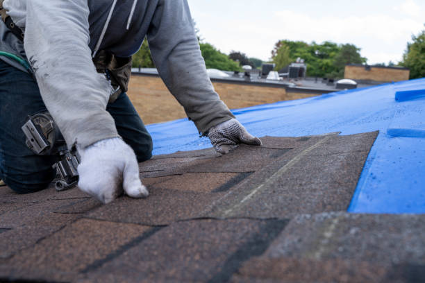 Roof Insulation in Minot Af, ND