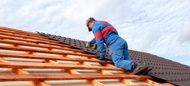 Trusted Minot Af, ND Roofing service Experts